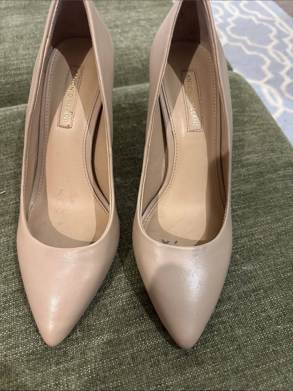 ANTONIO MELANI Blush Nude Pointed-Toe Leather Pumps